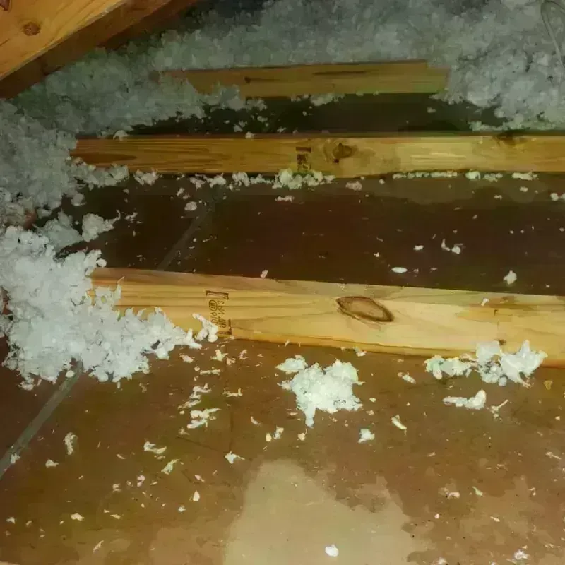 Attic Water Damage in Fayette County, WV